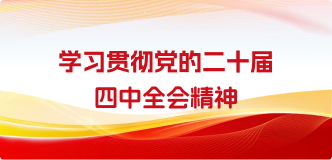 学习贯彻党的二十届四中全会精神
