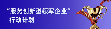 服务创新型领军企业行动计划